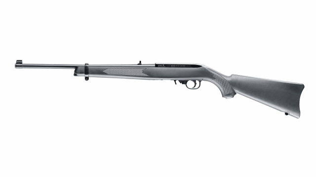iv_Ruger 10/22_0