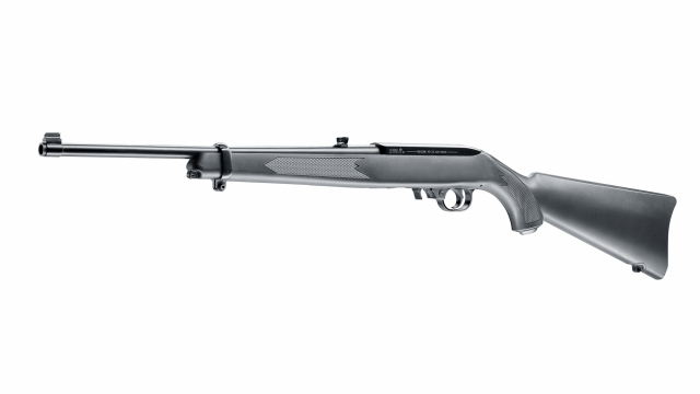 iv_Ruger 10/22_1