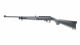it_Ruger 10/22_0