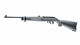 it_Ruger 10/22_1