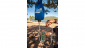 it_Katadyn BeFree Gravity Wasserfilter 6.0 L_5