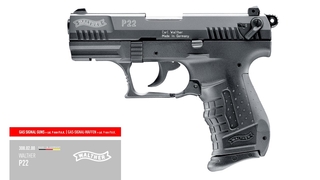 vt_Walther P22 Classic Bicolor_0
